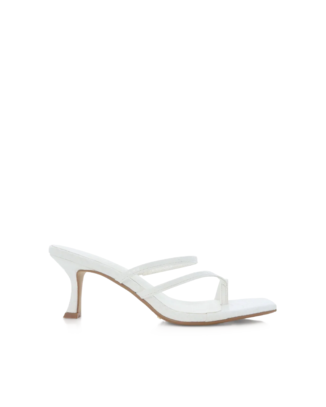 NOLANA - WHITE SNAKE