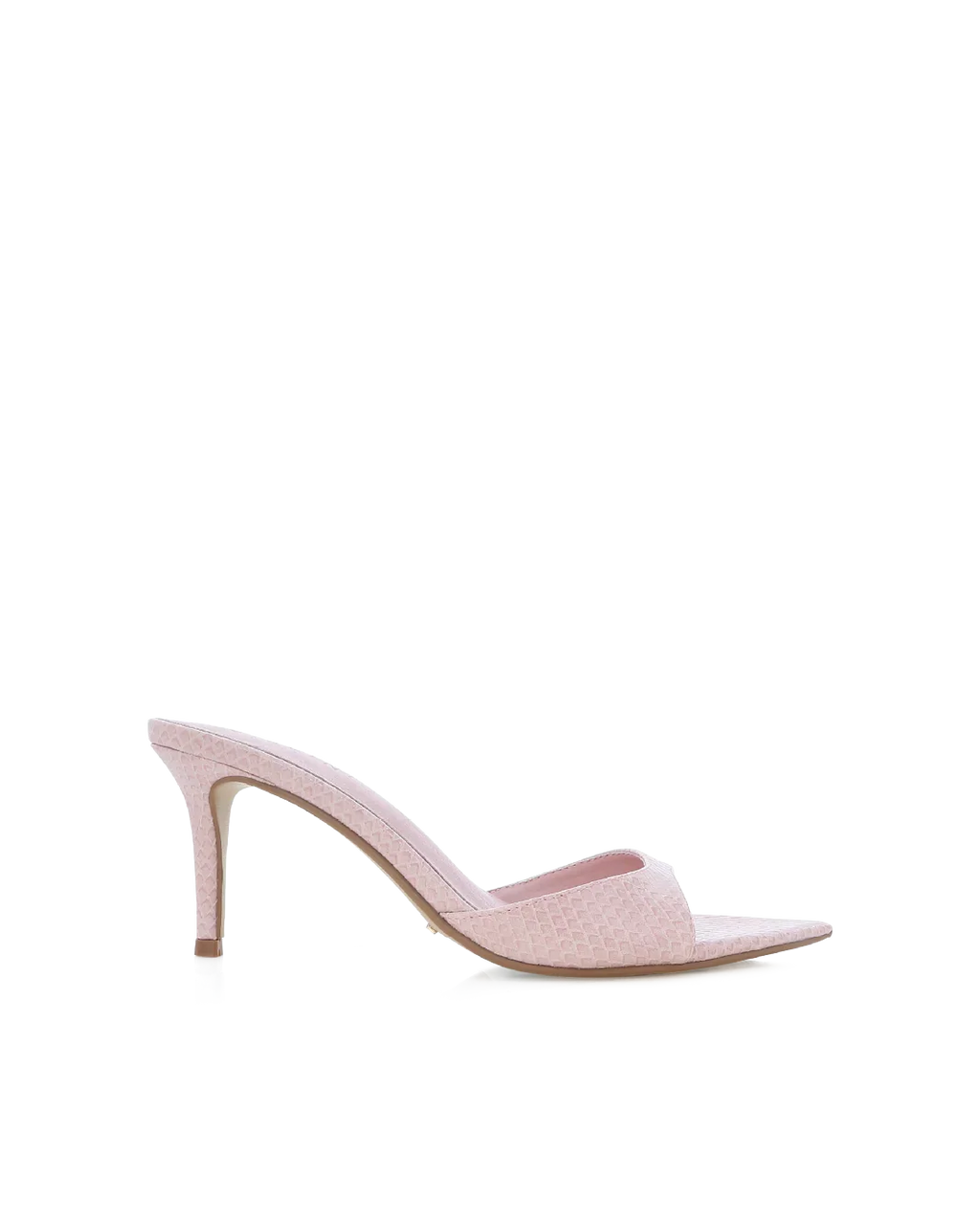 ENSLEY - BLUSH SCALE