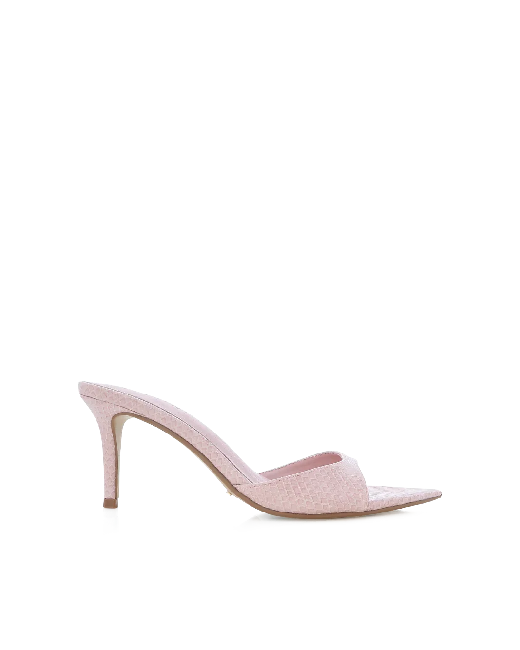 ENSLEY - BLUSH SCALE