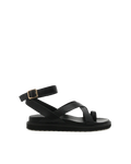 ZINNIA - BLACK
