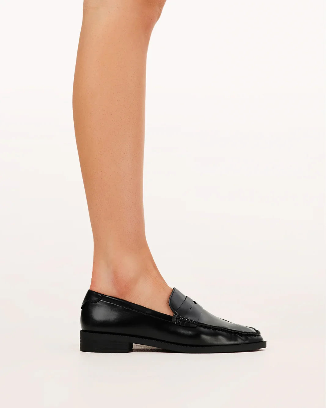 WHITMORE - BLACK SHINE